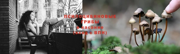 винт Армянск