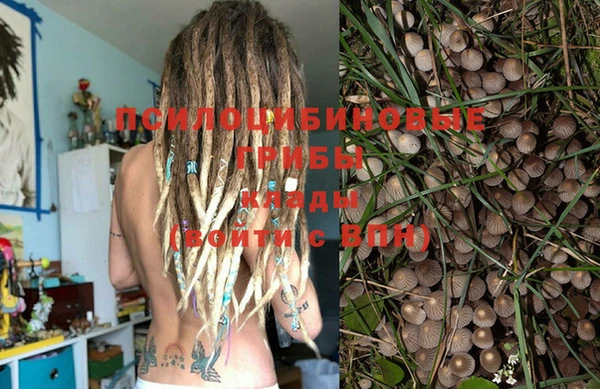 дмт Алзамай