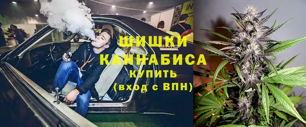 дмт Алзамай