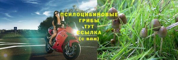 дмт Алзамай